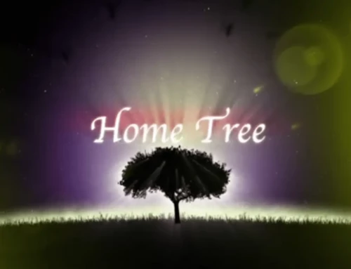 Hometree